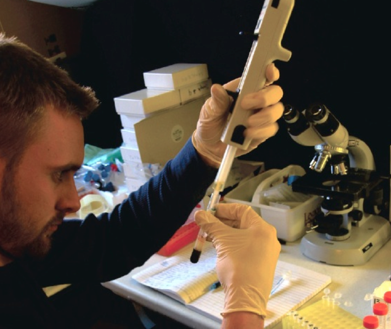 In the blood lab researchers prepared serum, plasma, and white blood cell samples for further analysis. Photo: Adeline van Waning