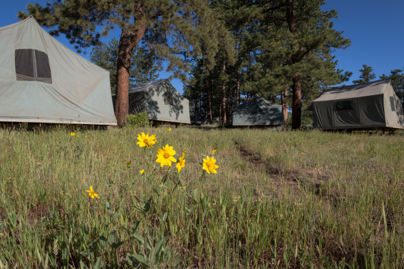 SMC Tents & Lodging O'Hern - Web1