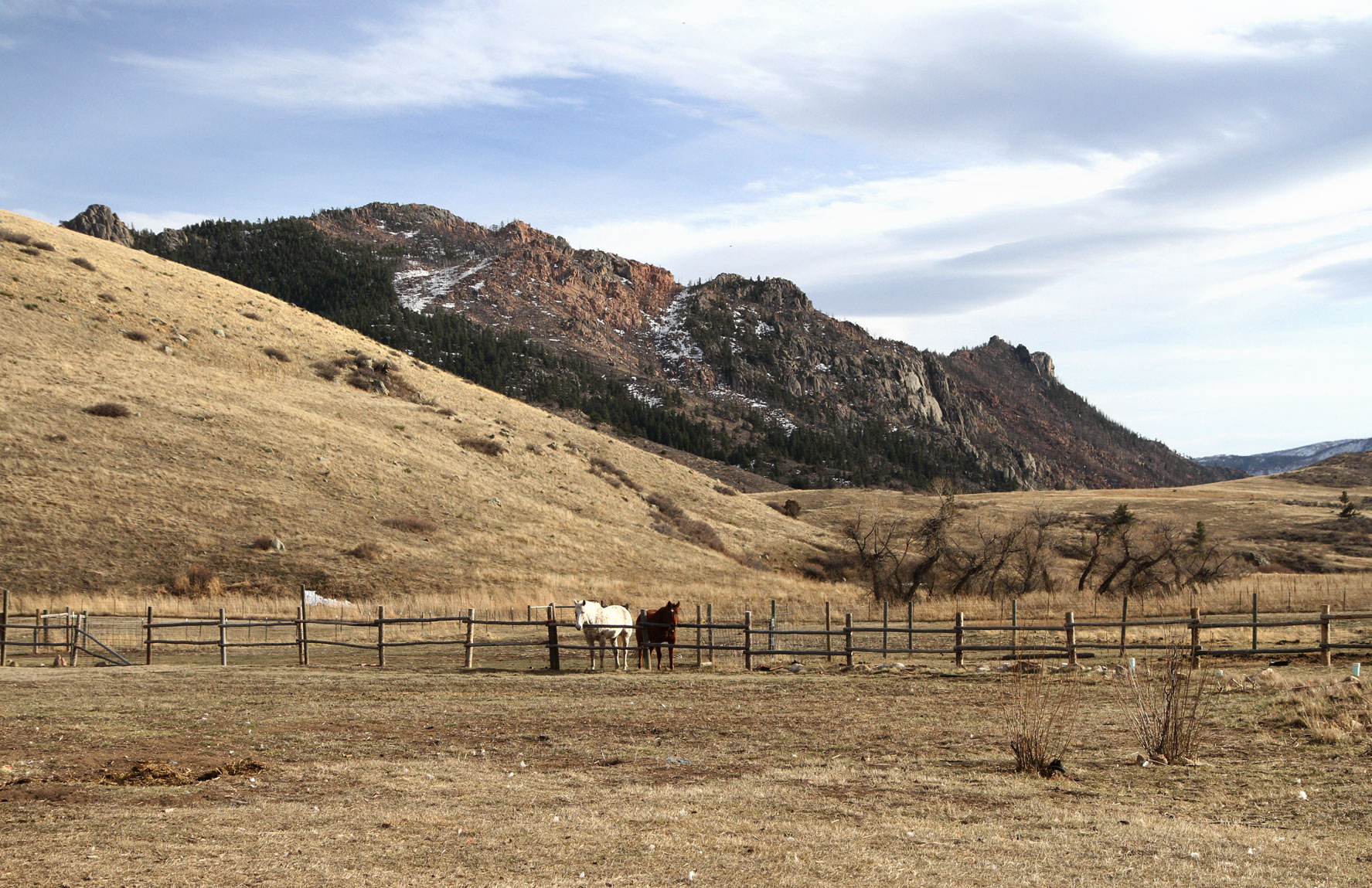 landscape-horses