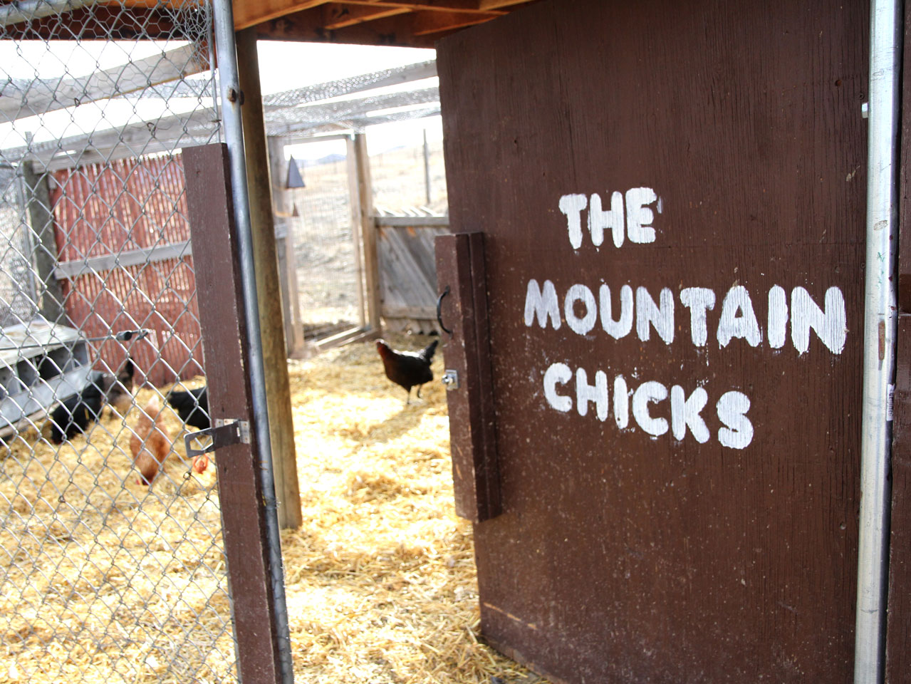 mountainchicks