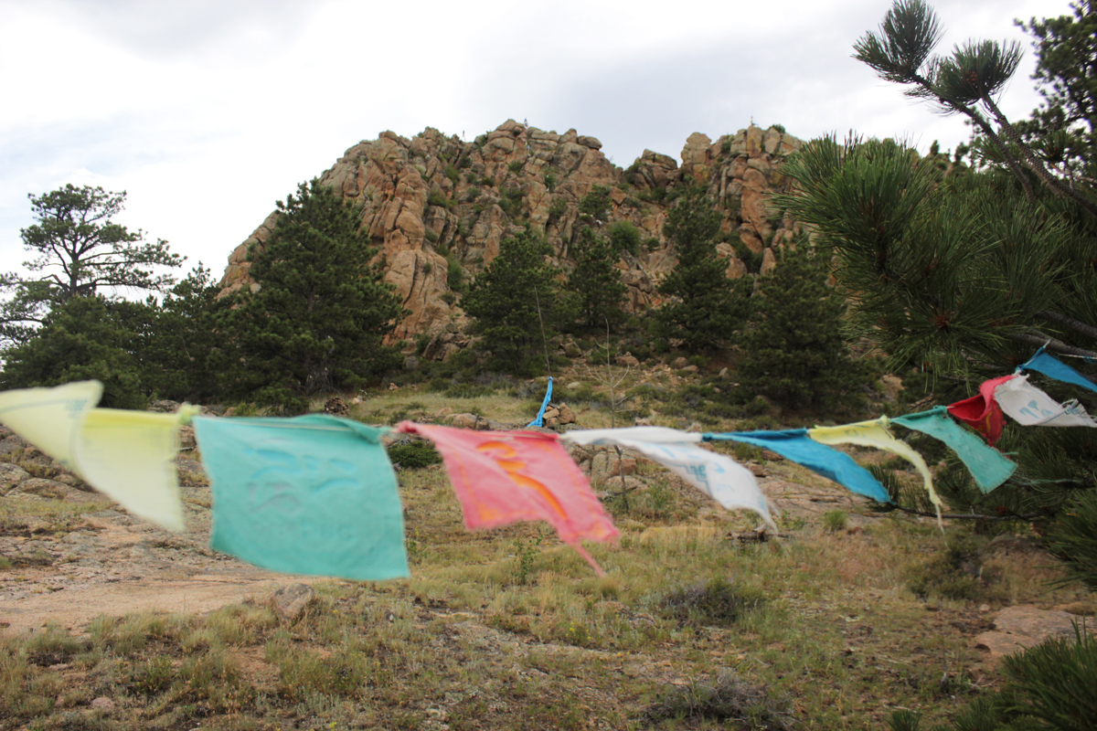 marpa-facing-flags