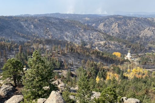 Looking west from retreat area behind Marpa Point at the path of the fire down the hills as it moved to the Stupa