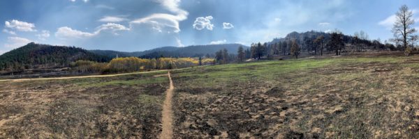 Path to the Stupa post-fire