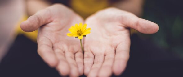 gratitude