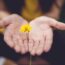 gratitude