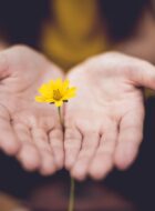 gratitude