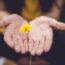 gratitude
