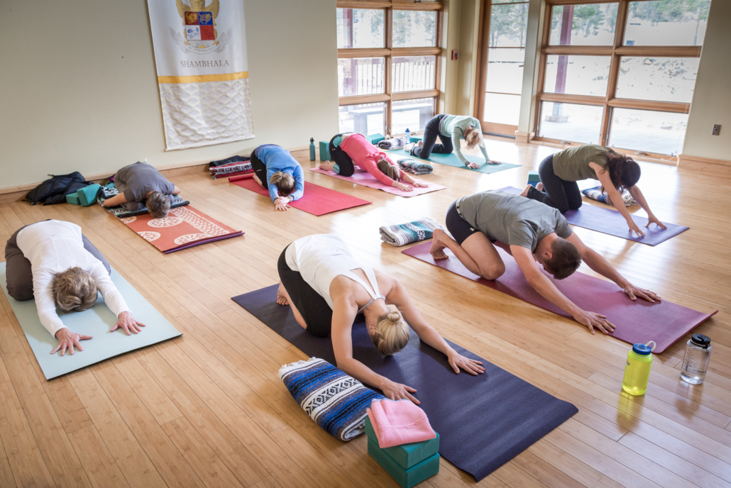 Copy of Shambhala Yoga O'Hern 2