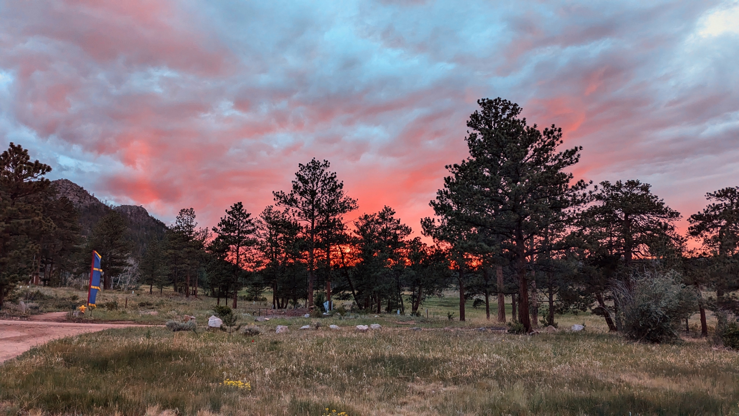 A vibrant pink sunset against a still bright blue sky, with the silhouettes of ponderosa pines and mountains in the foreground.