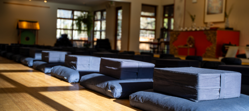 Sitting in Beauty Program Goals