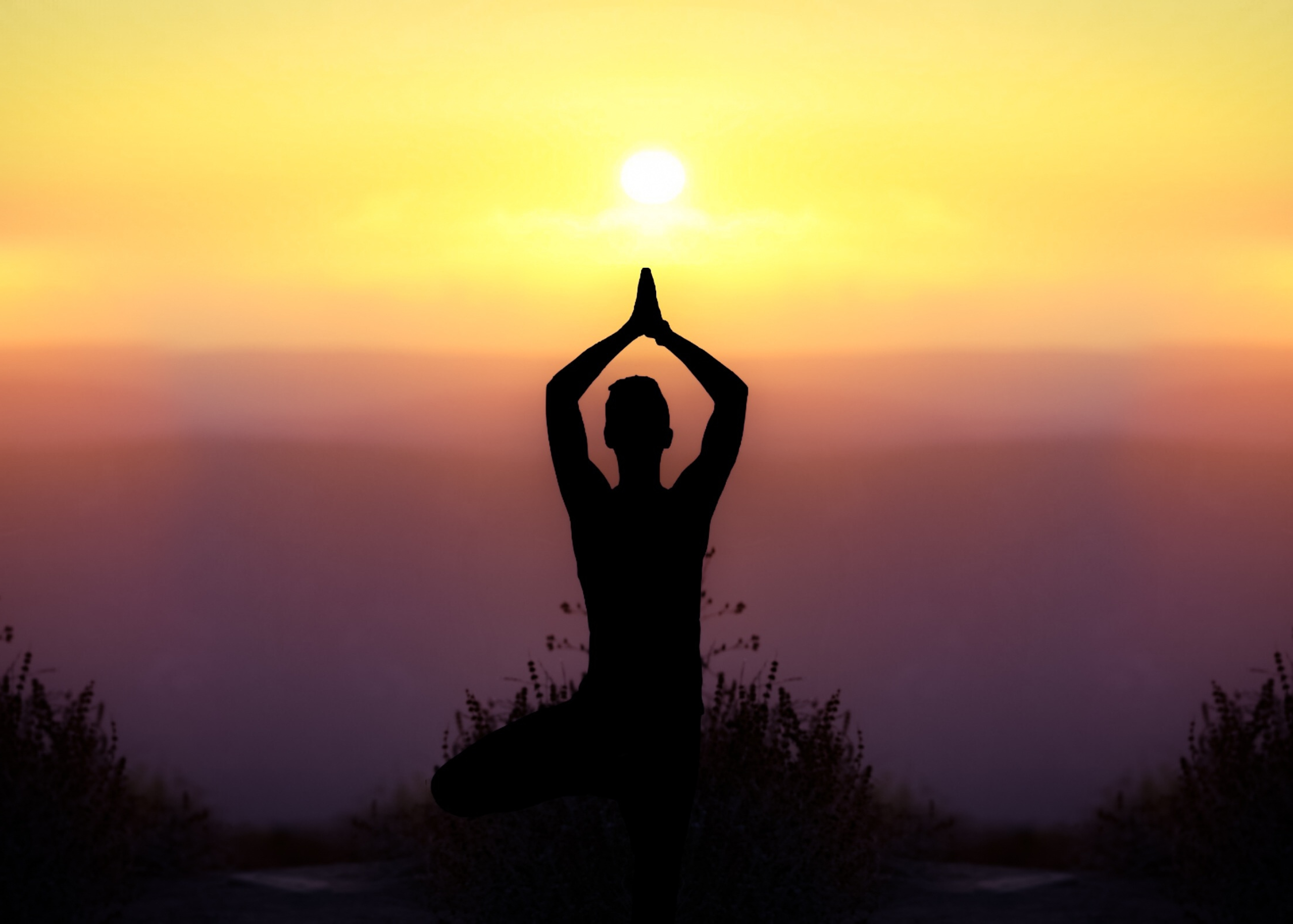 Ancient Wisdom for Modern Burnout: Yoga and Ayurvedic Tools for Balance