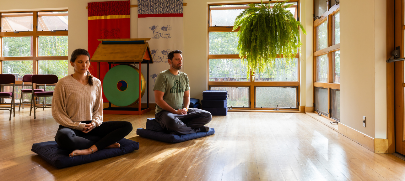 Foundations of Meditation Can't Make it This Weekend