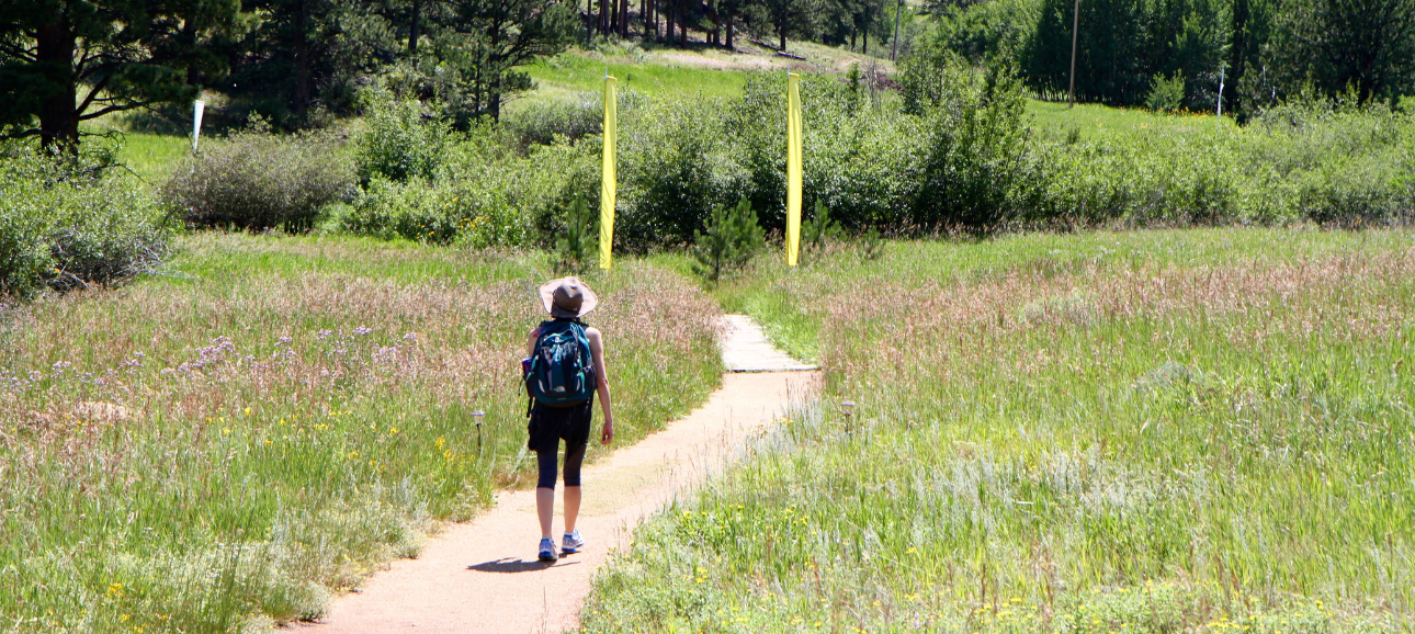 The Heart of Mindfulness Program Goals