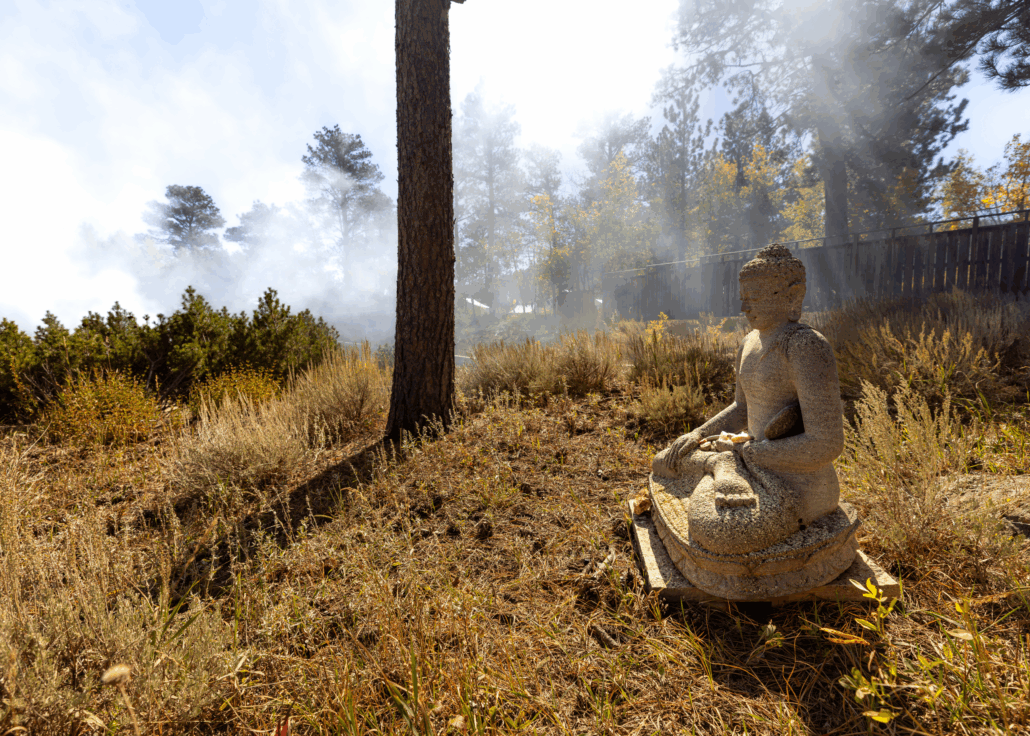 FREE ONLINE EVENT The Great Silence Mindfulness and NonDuality