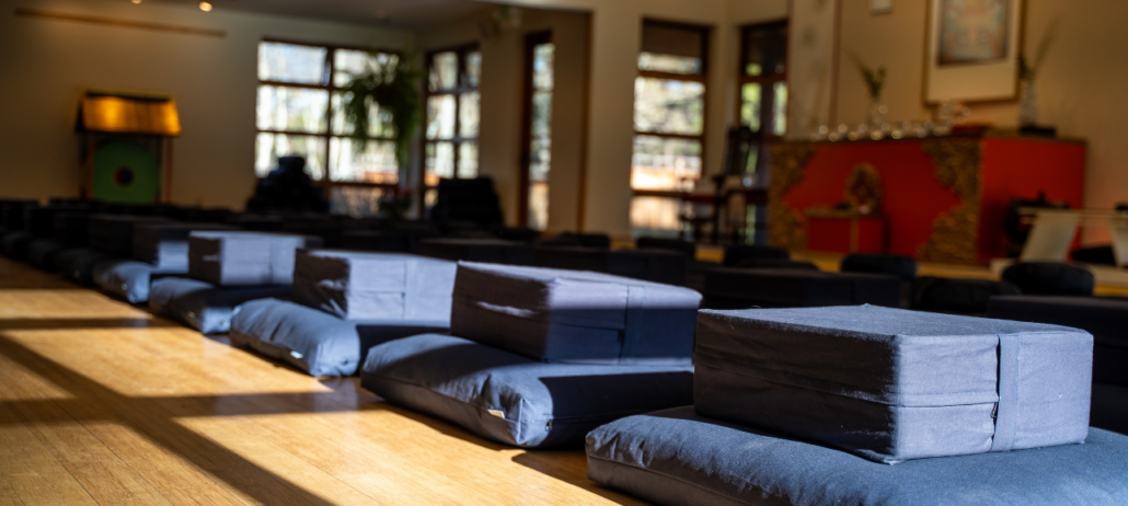 Meditation and Embodiment What Will Participants Get Out of This Retreat