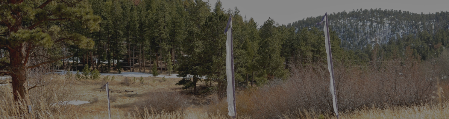 Winter Gold Landscape (Dark)