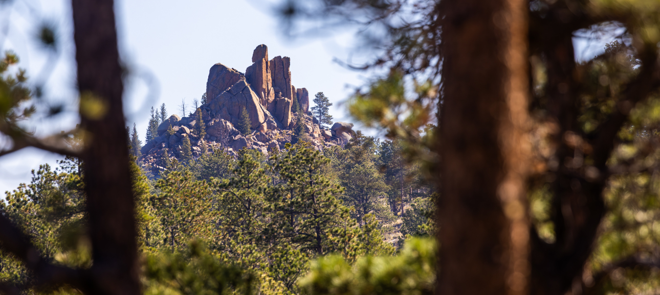 the mishap lineage about the retreat photo