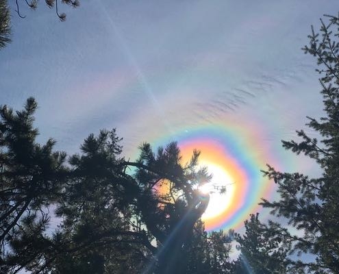 High in the Ponderosa pine forests of Drala Mountain Center - the sun peaks over the pines and sheds a glorious triple sun bow with distinct stripes of color.