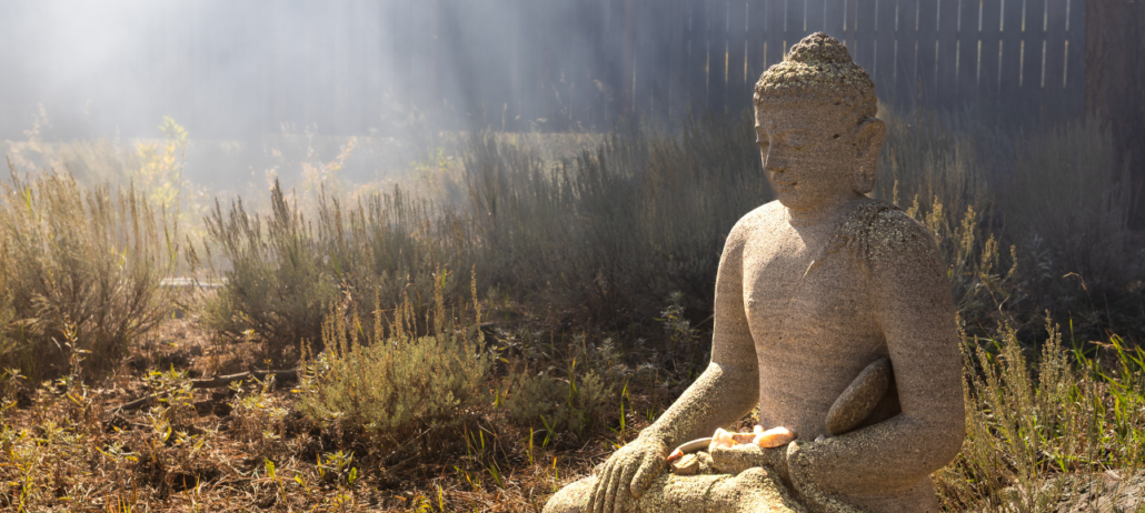 Mindfulness On And Off The Cushion What to Expect