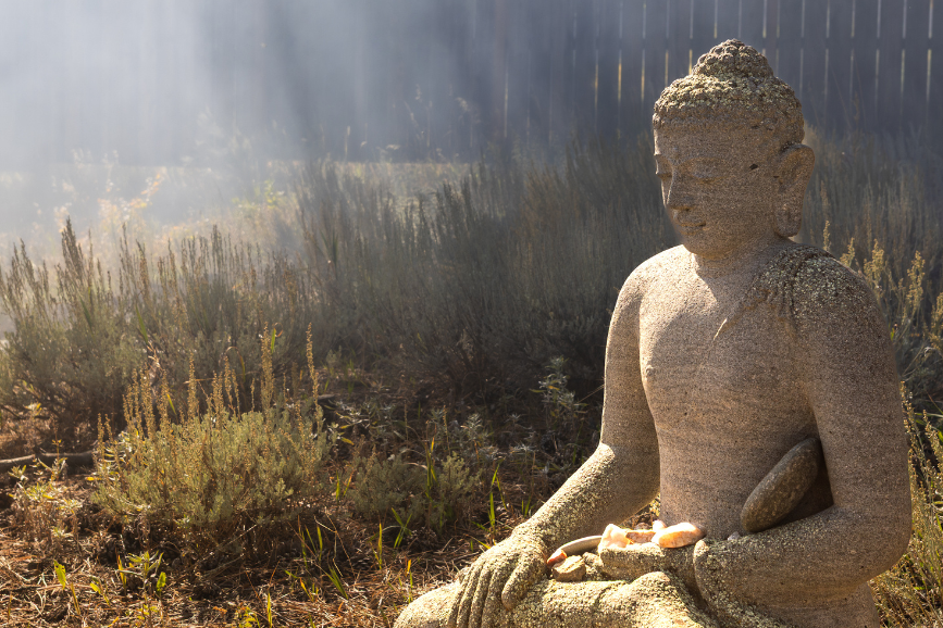 Already Whole: Discovering the Freedom Within