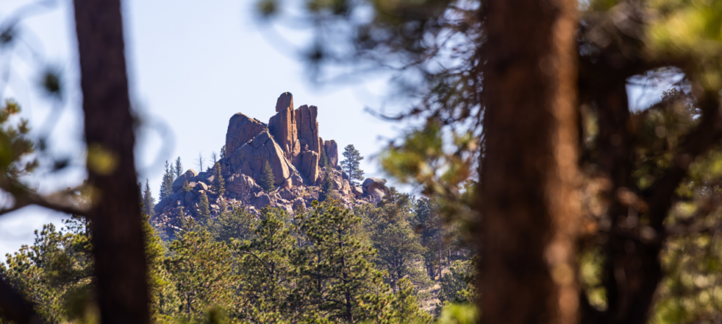 Mindfulness On And Off The Cushion Why Attend