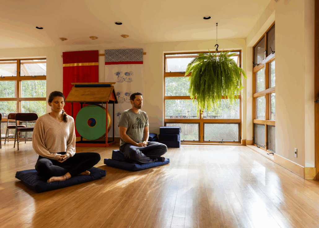 Mindfulness On and Off the Cushion