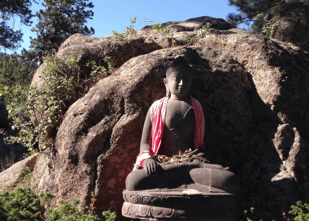 Proclaiming Basic Sanity: Living the Bodhisattva Path