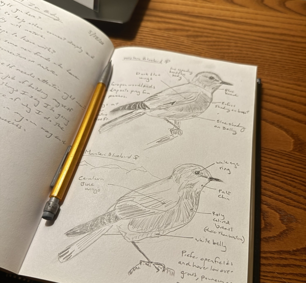 Art of Zen Birding - Journal Cropped