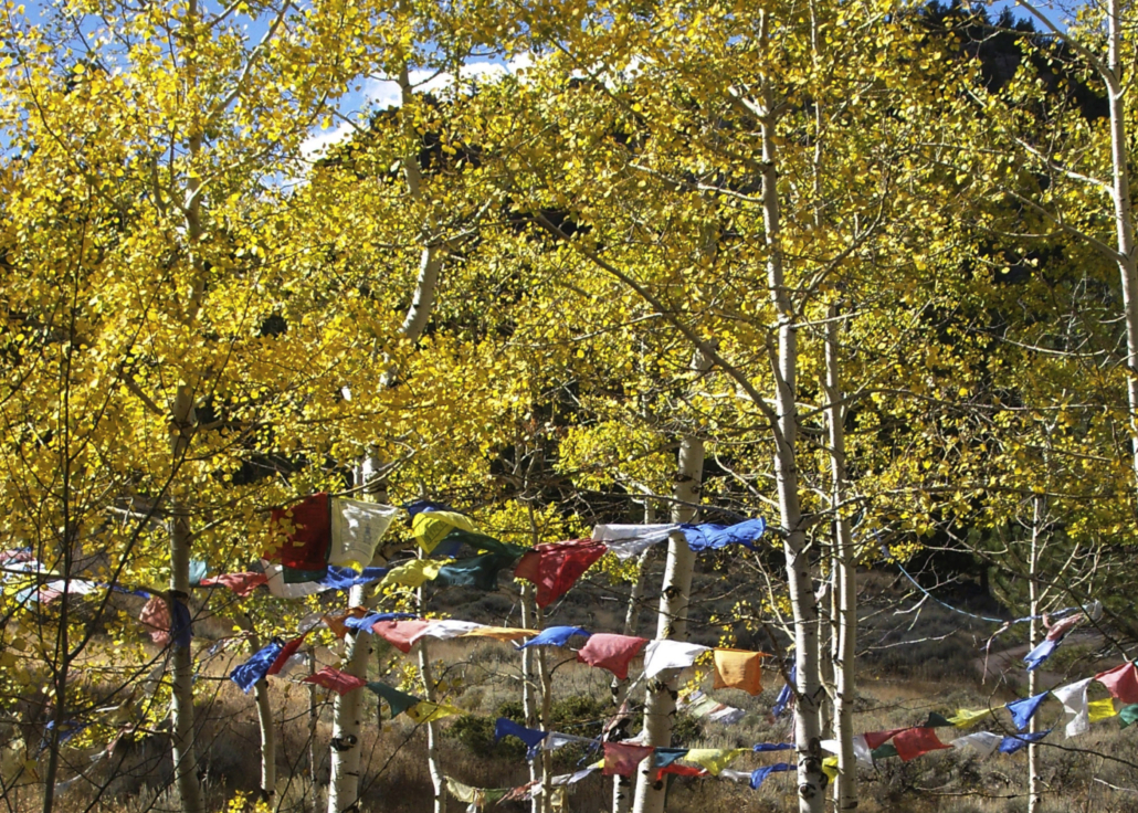 Bridge Aspen Flags Fall