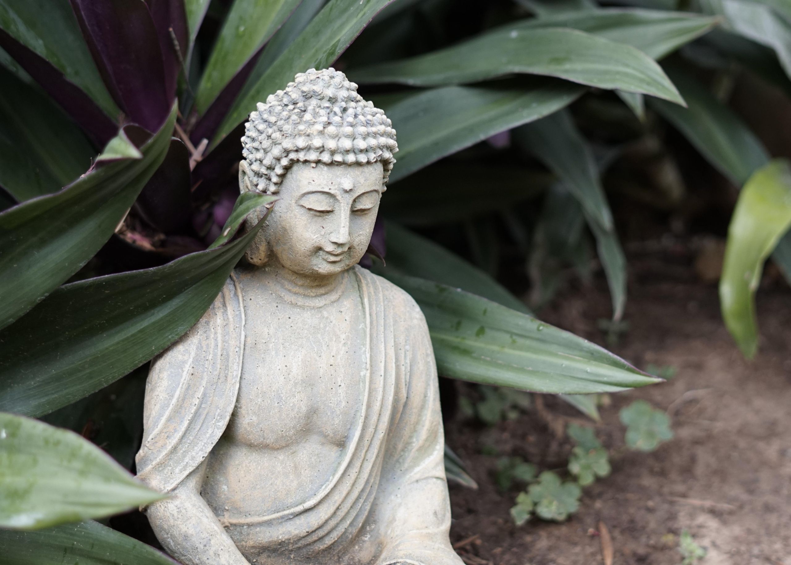 Zen The Vital Way – Explore Timeless Practices for a Modern World